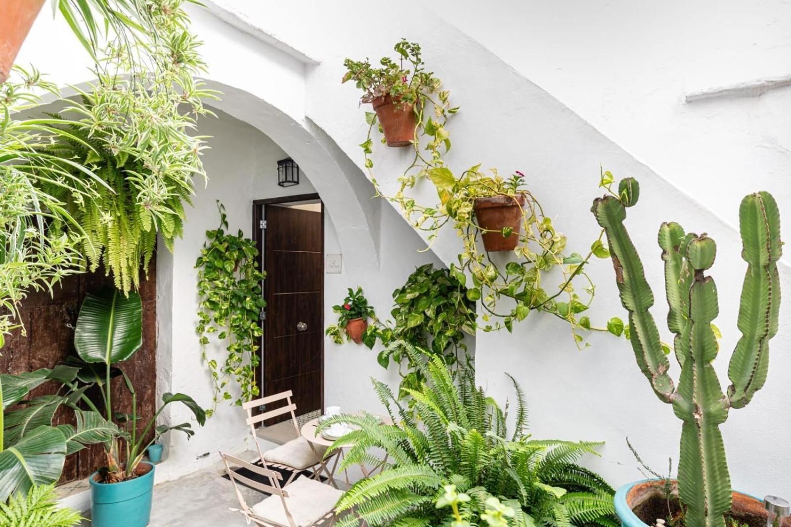 Casa La Fontana 3 Apartment Vejer de la Frontera Luaran gambar